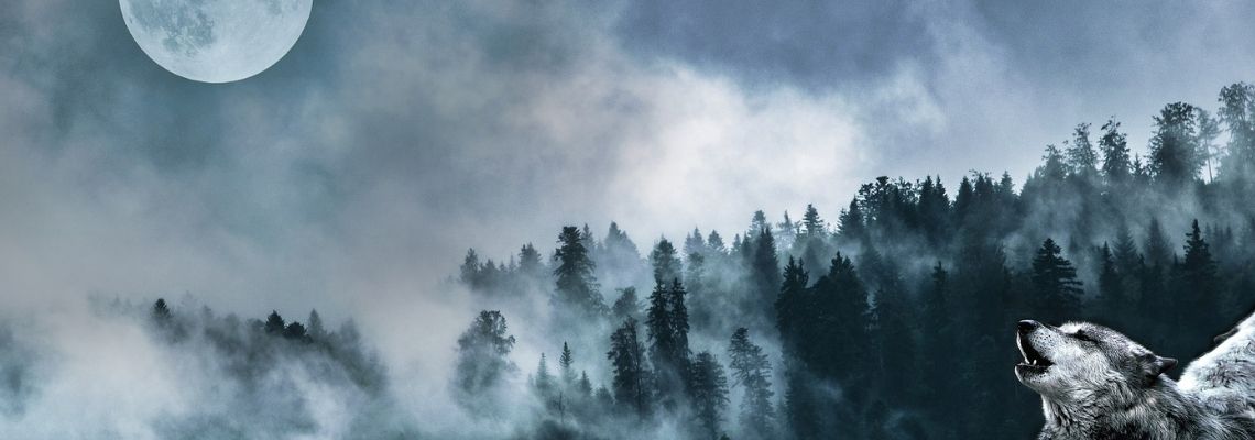 La leggenda della Luna Piena